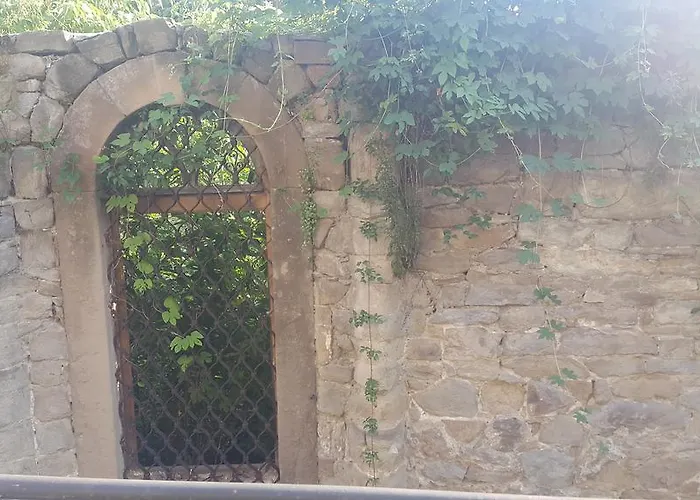 Отель боляри 3*