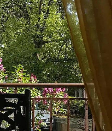 боляри Велико-Тырново